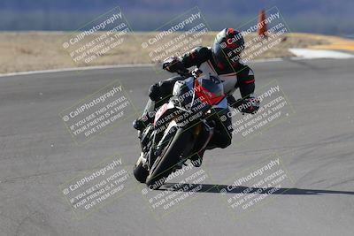 media/Nov-05-2022-SoCal Trackdays (Sat) [[f8d9b725ab]]/Turns 9 and 8 (1050am/